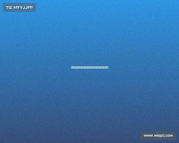 德甲降级球队的挑战与重生之路：探索未来发展的新机遇