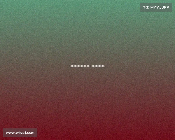 维萨加盟纽卡斯尔接近达成协议 转会谈判进入关键阶段