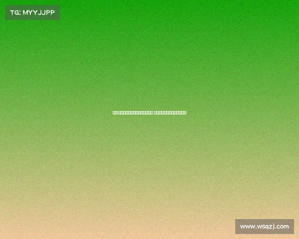 约恩·安德森先生出席赛后新闻发布会 深度解析球队表现与未来展望