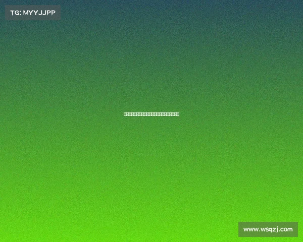 法甲冠军荣耀之路：回顾赛季最佳表现与未来挑战